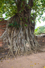 Fototapeta na wymiar タイ　アユタヤ遺跡：Ayutthaya ruins, Thailand ワット・マハタート: Wat Phra Mahathat