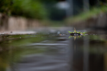 Abstract view of a water drain  with a low angle making it appear as if you were smaller. a...