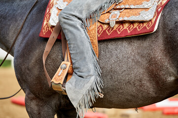 Detail of horses at show
