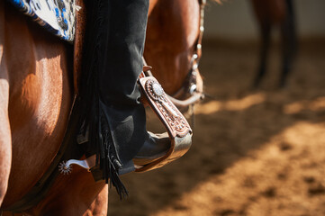 Detail of horses at show