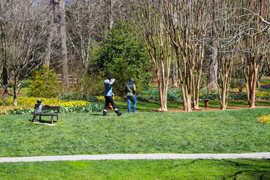 a man and a woman walking on lush green grass in the garden surrounded by bare winter trees and lush green trees and plants  at Gibbs Gardens in Ball Ground Georgia USA