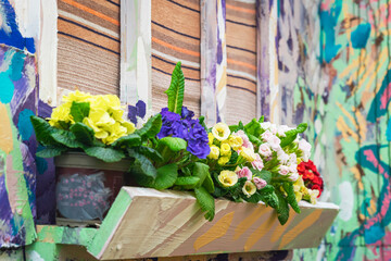 Fototapeta na wymiar Mix spring flowers on windowsill on facade of rustic house, soft selective focus