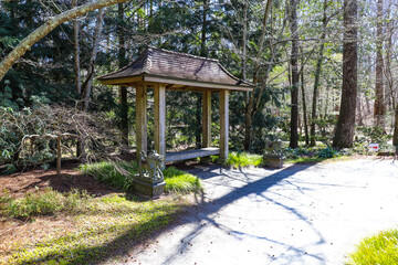 a brown wooden pergola with a brown wooden bench underneath surrounded by bare winter trees and lush green trees and plants with blue sky at Gibbs Gardens in Ball Ground Georgia USA - Powered by Adobe