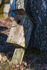 Old wooden bird house laid in the ground by a tree in sunny spring day. The concept of helping the birds.