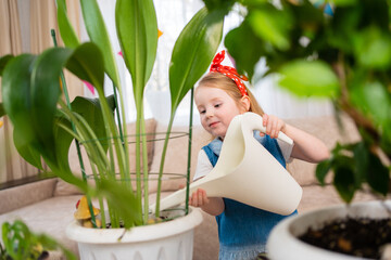 a little pretty girl watering from a watering can the houseplant with water.  © andrey