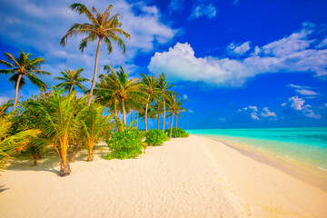 Idyllic Beach with Palm Treesat the Maldives, Indian Ocean