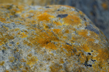 Stones