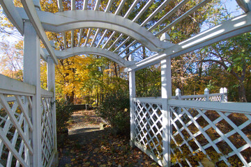 Diminishing perspective view of backyard garden with autumn leaf colour and white pergola