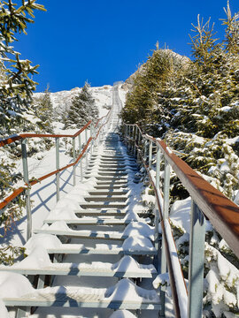 track in the mountains, Toaca Peak, Ceahlau Mountains, Romania 
