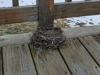 Bird's nest on a deck