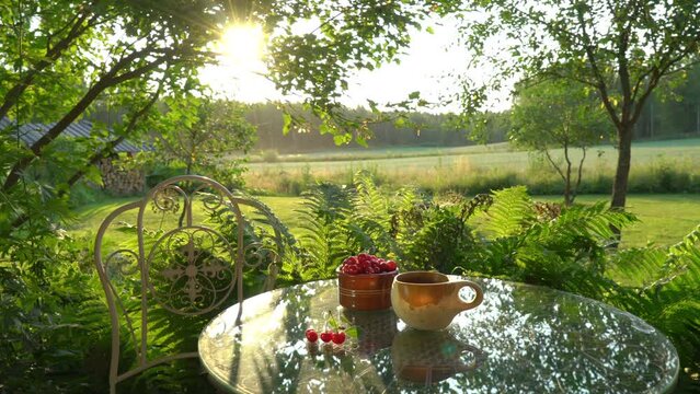 Cozy summer rural still life with wild cherry and hot tea in a wooden mug in the rays of setting sun. Soundscape with natural sounds ASMR ambience with cicadas, bees and cuckoo for peace and happiness