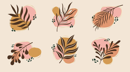Vector abstract botanical compositions. Neutral colors natural organic fluid shapes. Bohemian jungle exotic leaves design. Boho style foliage.