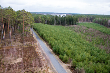 Fototapeta na wymiar The road through the forest seen from above