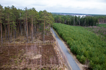 The road through the forest seen from above