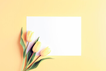 Blank sheet and yellow tulips, festive background. Top view, flat lay, mockup