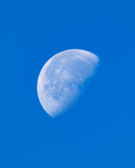 Half moon during the daytime