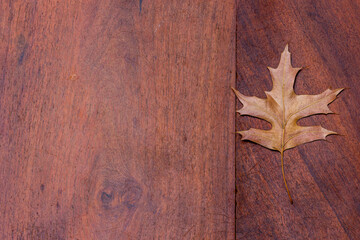 Autumn dry leaf on rustic wooden background. Empty space for copy, text, lettering. Top view.