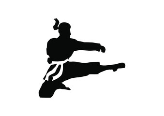 karate taekwondo kungfu silhouette kick and technic vector illustration logo 