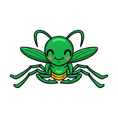 Cute little mantis cartoon character