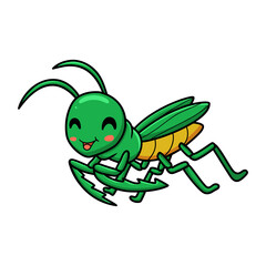 Cute little mantis cartoon character