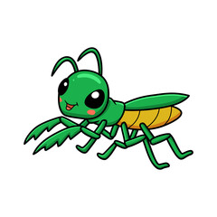 Cute little mantis cartoon character