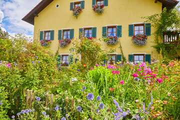 Fototapeta na wymiar Beautiful typical cottage garden, in Bavaria, Southern Germany.