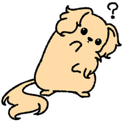 首をかしげるダックスフンド