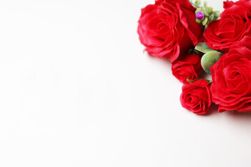 Fototapeta premium 白の背景にバラの花々