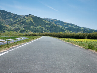 大洲市肱川沿いの土手
