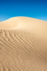 Rippling Texture of Panamint Dunes Looks like the Scales Of A Ancient Beast
