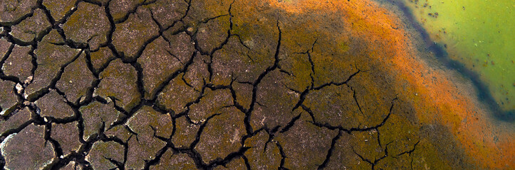 Polluted water and cracked land during summer drought	
