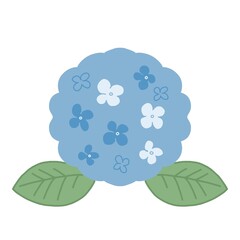 青のアジサイのイラスト