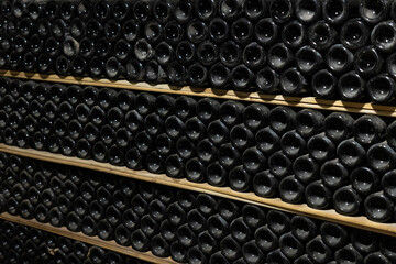 Wine glass bottles fermenting in winery cellar.