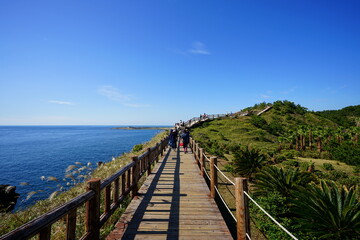 Fototapeta na wymiar fascinating seaside view with walkway