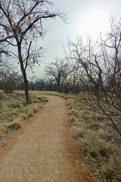 New Mexico path