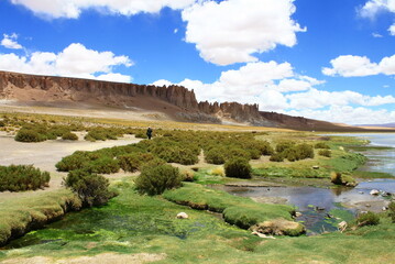 Fototapeta na wymiar A walk in the Atacama Desert