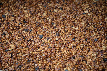 Coffee bean textures with closeup look of coffee beans that can be made into espresso or mocha flavored drinks that are rich in color