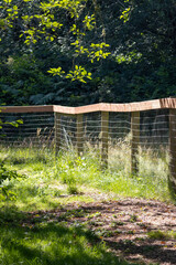 wooden fencing along field path in summer
