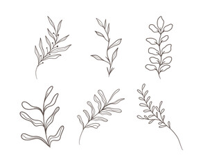 hand drawn decorative leaves	