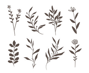 hand drawn decorative leaves	