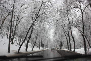 Automobile ride at snowy winter day. View from inside a car on a wet asphalt road surrounded by tall branching trees at cold weather. Cars movement, traffic. Beautiful winter landscape. Travel, trip.