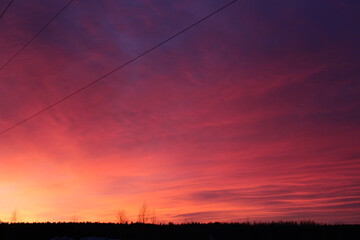 Obraz premium Beautiful colored sunset