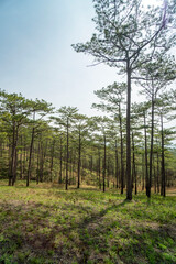 Amazing landscape of Da Lat city, Vietnam