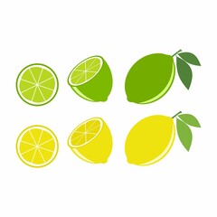 Vector lime slice green and orange illustration lemon isolated half fruit lime. Fresh green cut citrus icon.