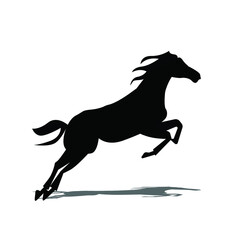 Fototapeta na wymiar Isolated black horse on white background, horse for logo, icon, and design material.