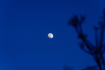 澄んだ月の光、満月前の月も魅惑的、1月14日、宝塚市、日本