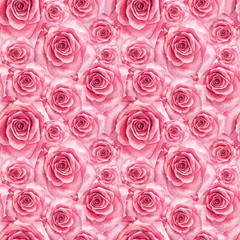 Seamless pattern watercolor pink rose background. Hand-drawn botanical flowers for Valentine's day or 8 March. Hello spring. Happy women's day. Art for wedding celebration invite wrapping wallpaper