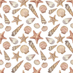 Watercolor seamless pattern with vintage seashells isolated on white background. Marine collection.