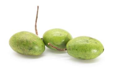 branch of olive isolated on white background.