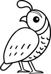 Quail cartoon drawing for coloring book
